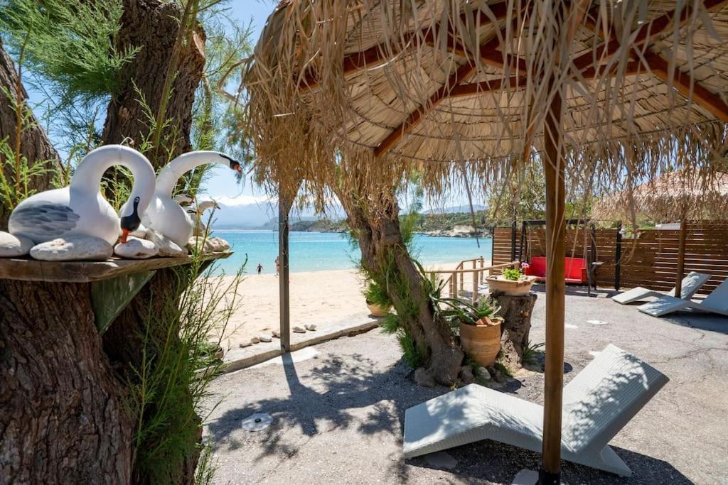 חאניה Sea And Sun Metaxy Mas, Brand-New, Beachfront ! מראה חיצוני תמונה