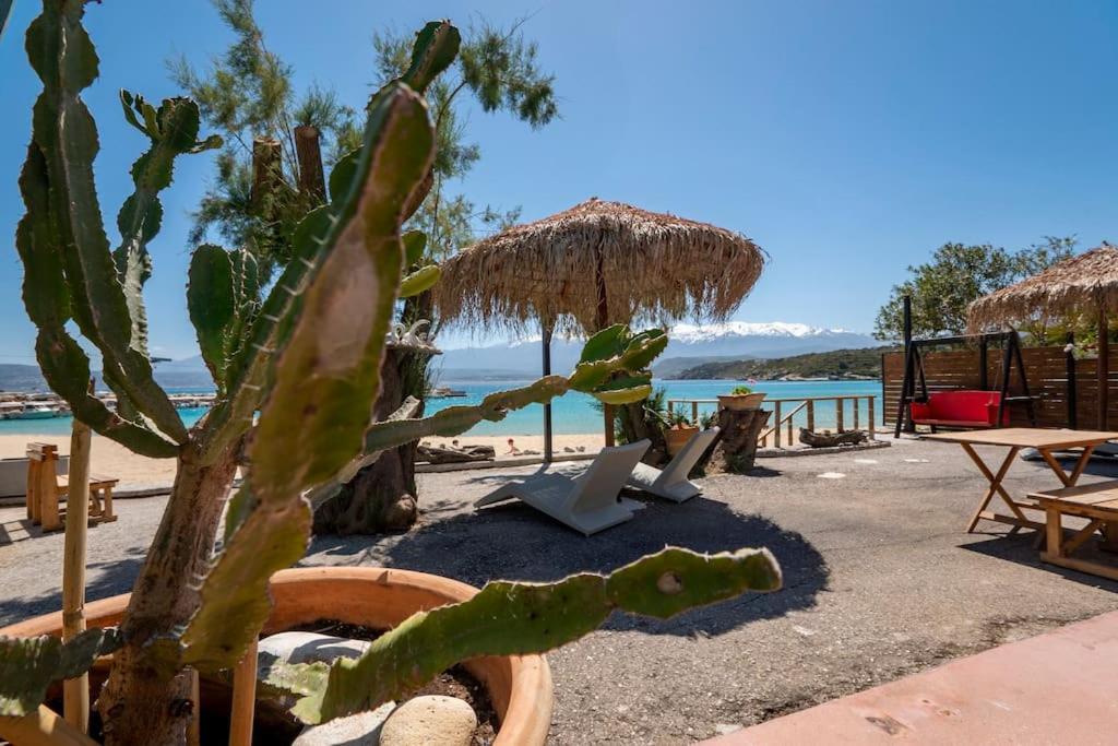 חאניה Sea And Sun Metaxy Mas, Brand-New, Beachfront ! מראה חיצוני תמונה